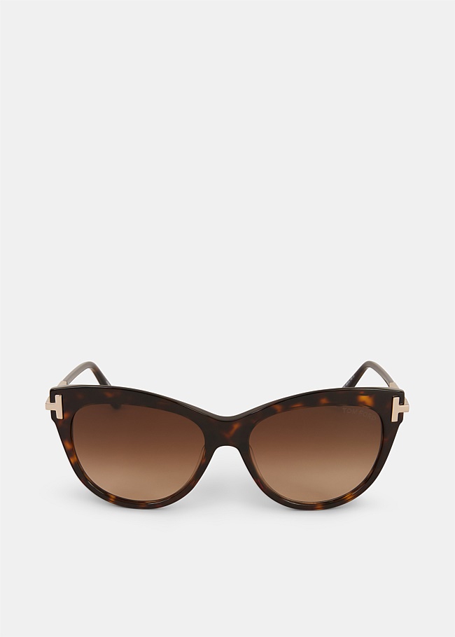 Brown Acetate Sunglasses