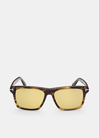 Brown Buckley Square Sunglasses