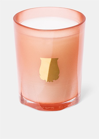Tuileries Petit Candle Assorted 70g